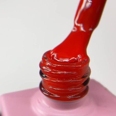 Colore Semipermanente C041