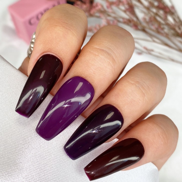Couleur Semi-permanente C065