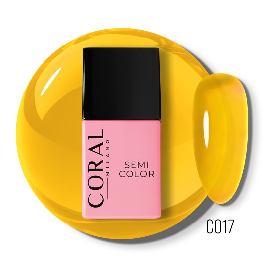 Couleur Semi-permanente C017