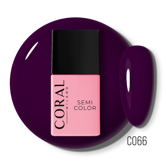 Couleur Semi-permanente C066