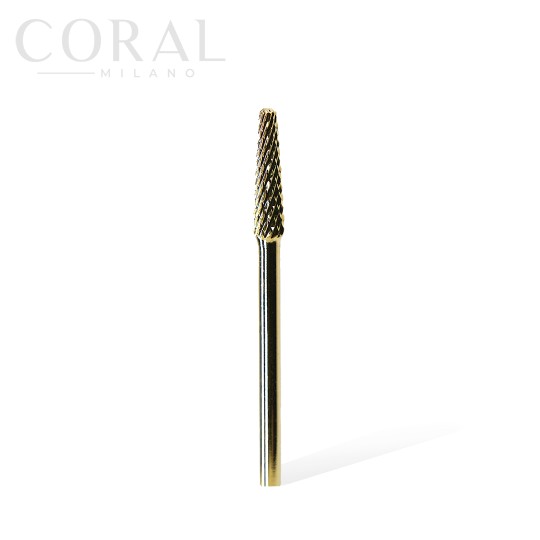 Punta Carbide - P01024 2